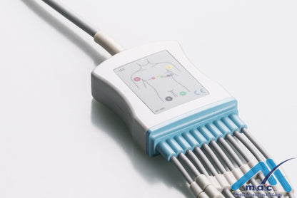 Nihon Kohden Reusable One Piece EKG Fixed Cable E1M0R-NK2-P/I